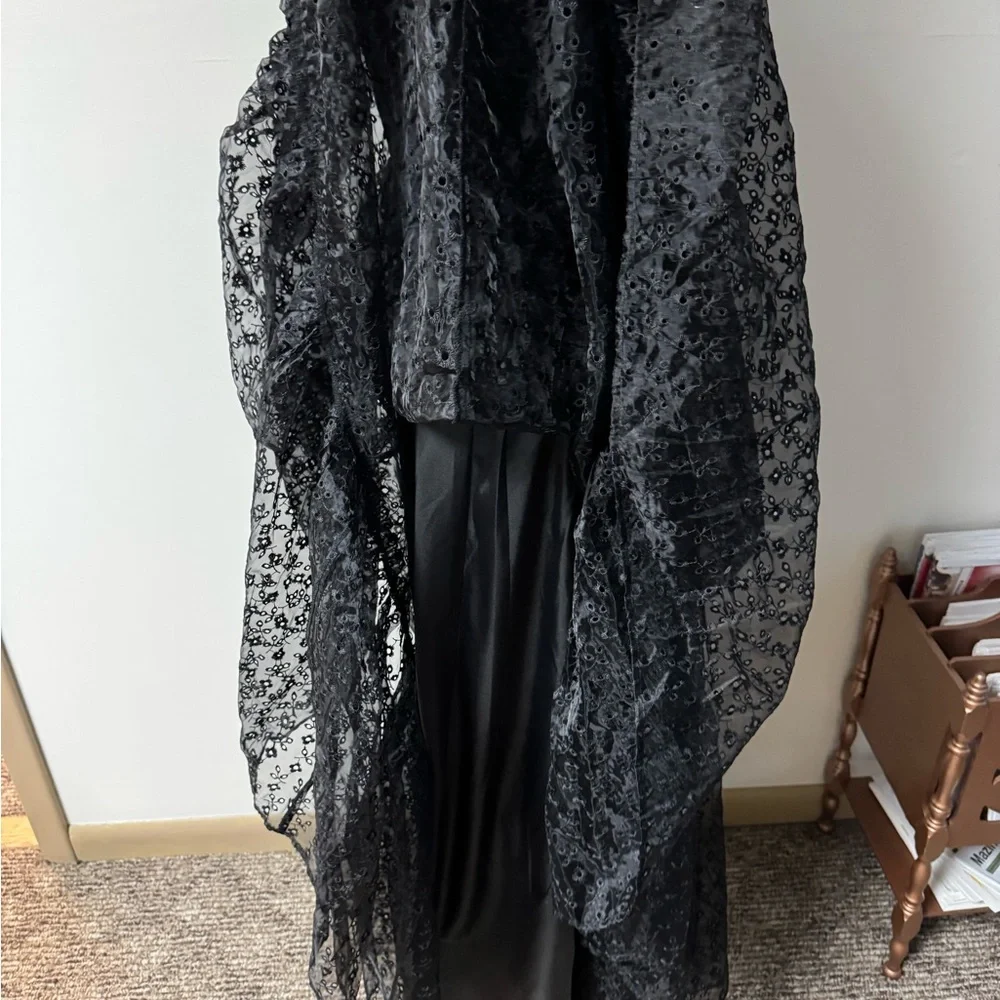 Delia’s black dolls kill floral embroidered Tulle gothic maxi dress NWT🐸 - Picture 11 of 12